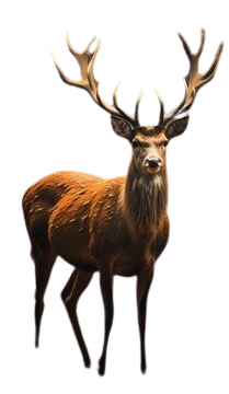 Agra TajMahal Tour Packages