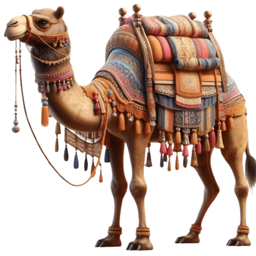 Agra TajMahal Tour Packages